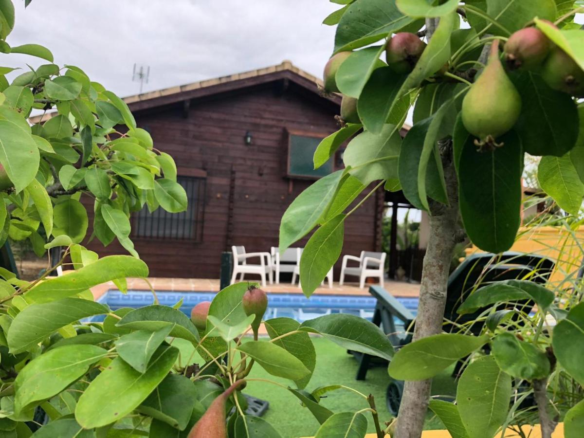 Casa De Madera El Oasis El Palomar Villa Севиля Екстериор снимка
